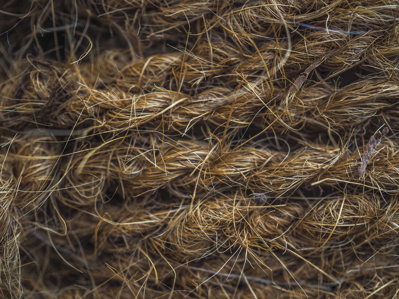 10 Easy Knitting Projects for Beginners